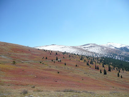 Colorado near the area of Camp Hale.